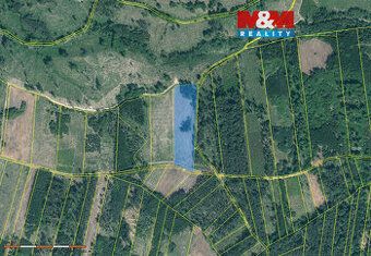 Sprzedam leśną działkę o łącznej powierzchni 31810 m2