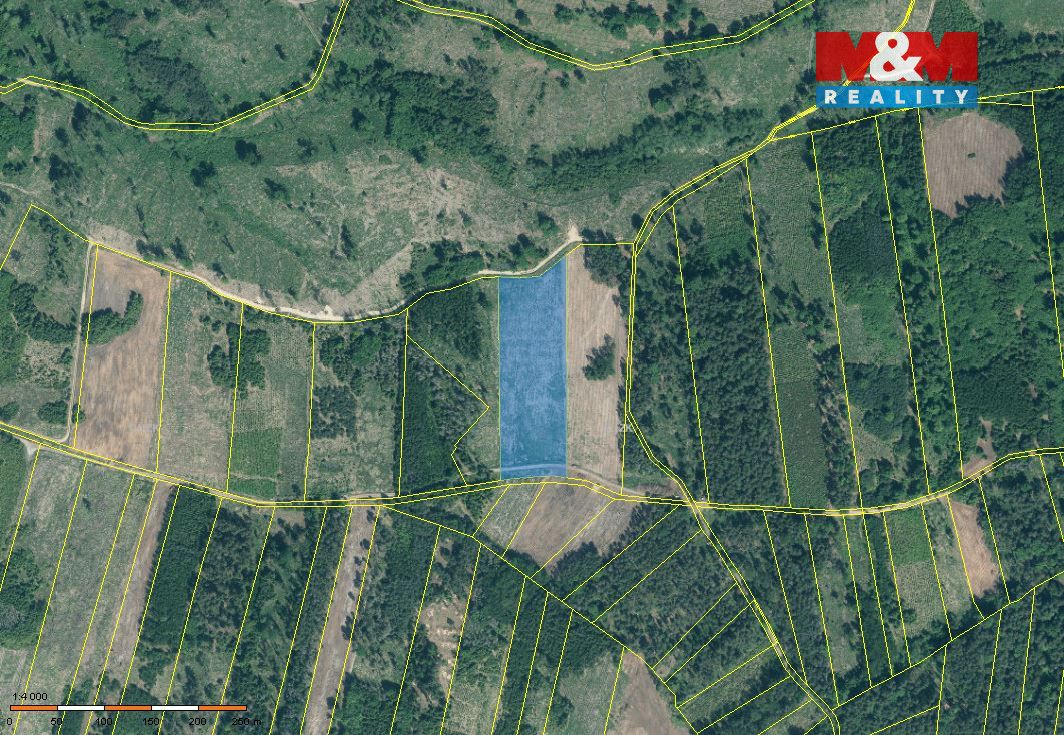 Sprzedam leśną działkę o łącznej powierzchni 31810 m2