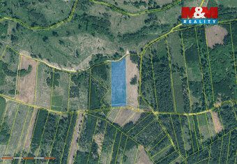 Sprzedam leśną działkę o łącznej powierzchni 31810 m2