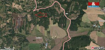 Sprzedam leśną działkę o łącznej powierzchni 31810 m2