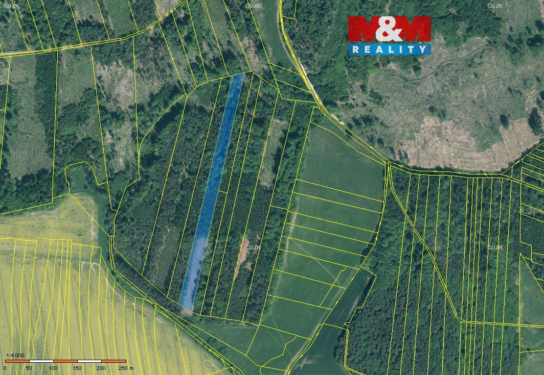 Sprzedam leśną działkę o powierzchni 12669 m2. Jest to