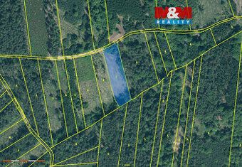 Sprzedam leśną działkę o powierzchni 7736 m2. Jest to jedna