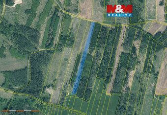 Sprzedam leśną działkę o powierzchni 7736 m2. Jest to jedna
