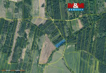 Sprzedam leśną działkę o powierzchni 7736 m2. Jest to jedna