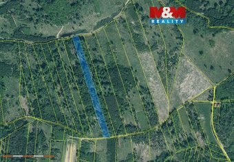 Sprzedam leśną działkę o powierzchni 15662 m2. Jest to