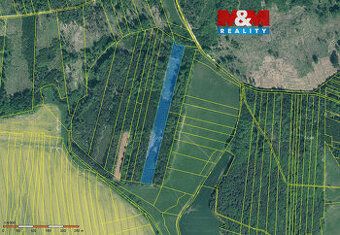 Sprzedam leśną działkę o powierzchni 15662 m2. Jest to