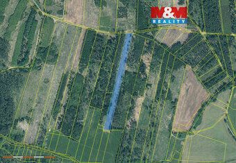 Sprzedam leśną działkę o powierzchni 15662 m2. Jest to