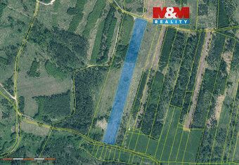 Sprzedam leśną działkę o powierzchni 17738 m2. Jest to