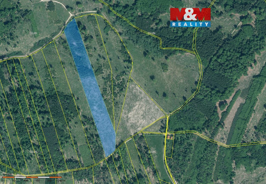 Sprzedam leśną działkę o powierzchni 36550 m2. Jest to