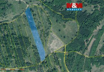 Sprzedam leśną działkę o powierzchni 36550 m2. Jest to