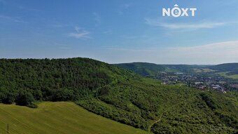We offer you exclusively an array of three plots - forest