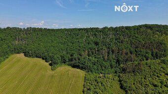 We offer you exclusively an array of three plots - forest