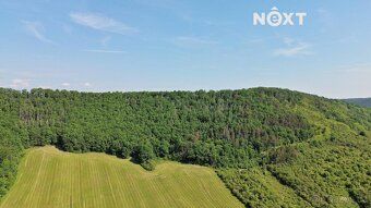 We offer you exclusively an array of three plots - forest