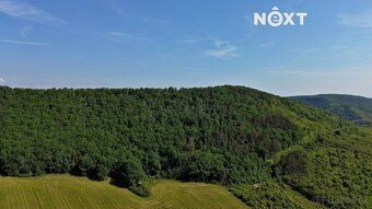 We offer you exclusively an array of three plots - forest