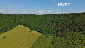 We offer you exclusively an array of three plots - forest