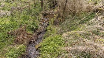 Ми пропонуємо до продажу великий і виключно розташований