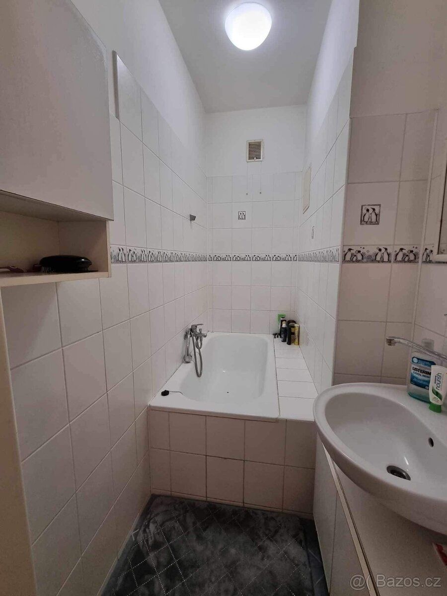 We offer a 1 bedroom apartment for rent in Prostějov on