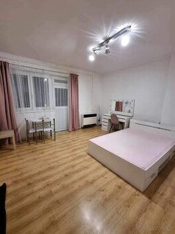 We offer a 1 bedroom apartment for rent in Prostějov on