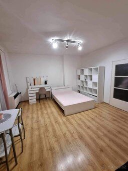 We offer a 1 bedroom apartment for rent in Prostějov on