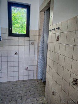 I am renting out a freshly renovated cottage in Bohemian