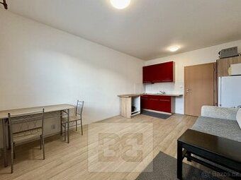 Please offer. I urgently need long-term rental apartment 1