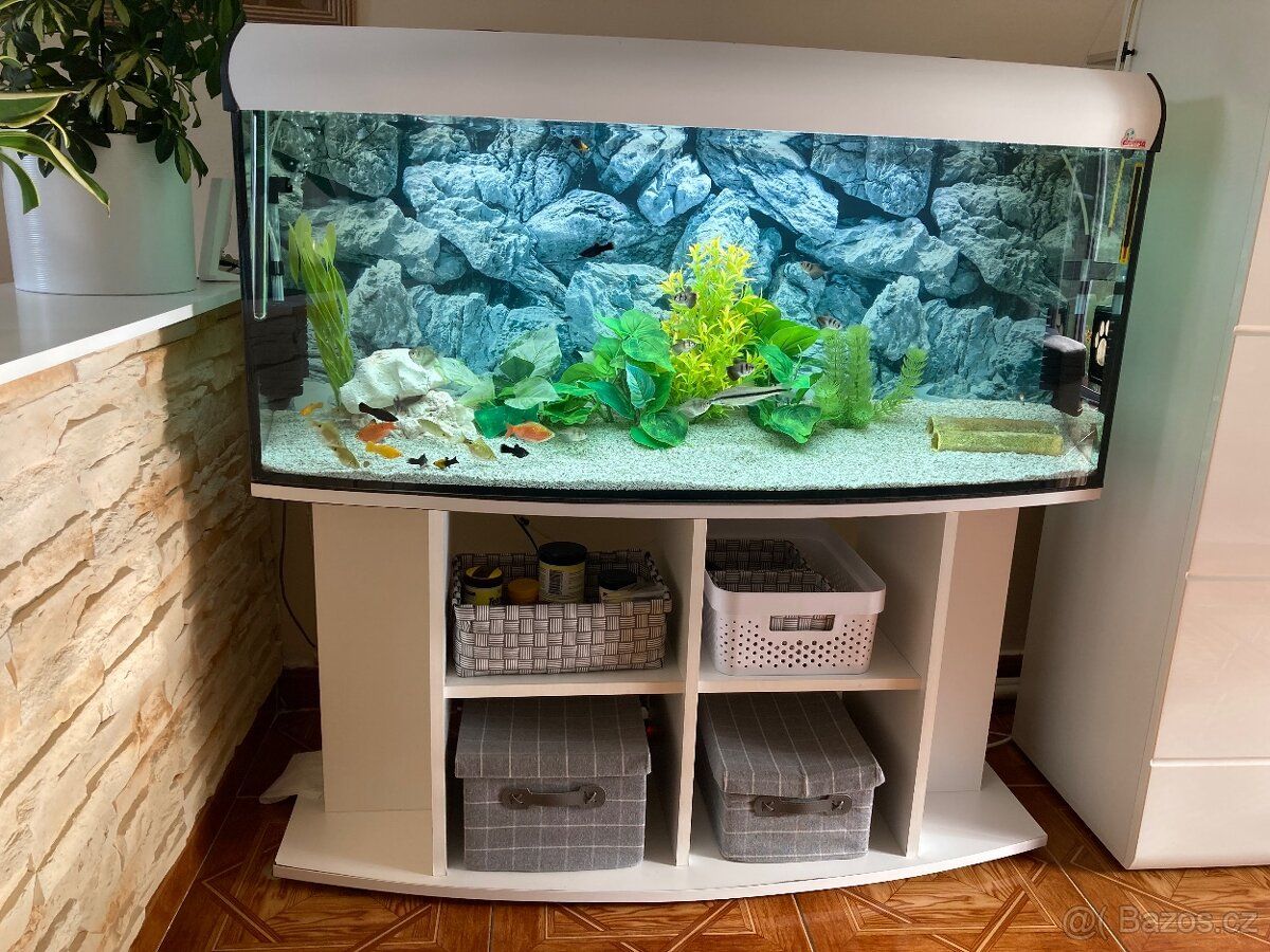 Oferuję w prezencie akwarium z rybkami. Wymiary 116x37x59