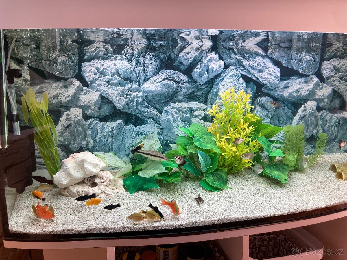 Oferuję w prezencie akwarium z rybkami. Wymiary 116x37x59
