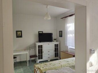 Wynajmę w Sedlec-Prčice parterowy apartament 1+1 w domu z