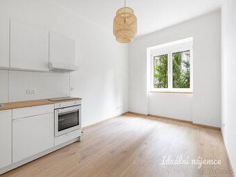 Hledám pronájem menšího bytu v Praze do 15000 Kč v četne slu