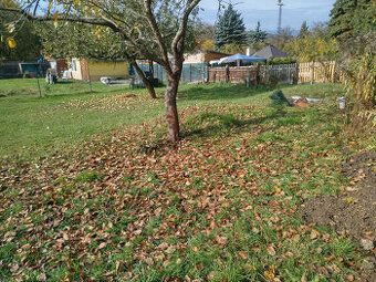 Sale of garden, 394 m², private ownership, near Three Oaks