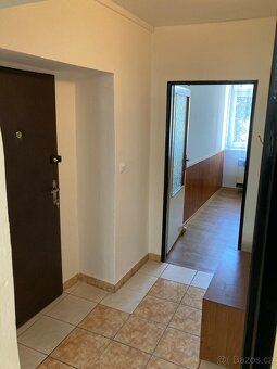 pronajmu hezký byt 1+1 v centru Č.B.- Žižkova tř.,40 m2.,mož