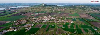 Sale of Winter Hill vineyard in Dolní Dunajovice, Real