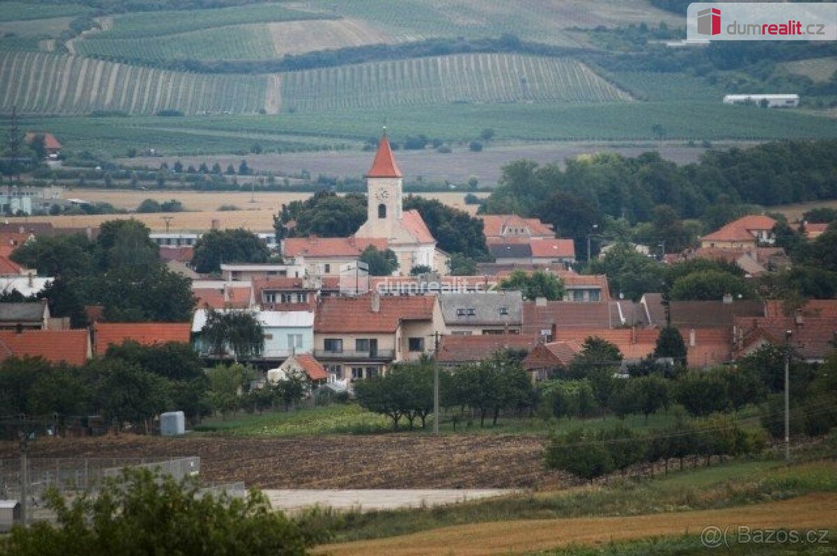 Sale of Winter Hill vineyard in Dolní Dunajovice, Real