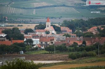 Sale of Winter Hill vineyard in Dolní Dunajovice, Real