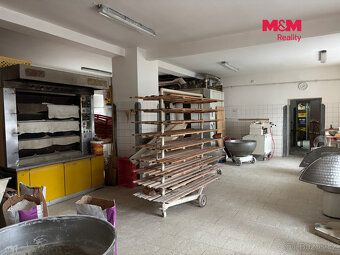 Продається будинок з садом загальною площею 1 055 м² в