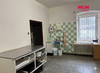 Продається будинок з садом загальною площею 1 055 м² в
