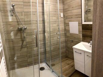 We offer for rent a pleasant apartment with layout 1+kk and