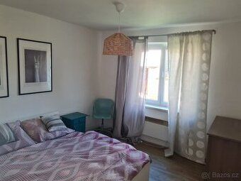 Rent, flats 1+1, 29m2, KyjovOn behalf of the owner we offer