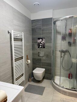 Rent apartment 1 + kk, 35 sqm On Vyhlídka Without