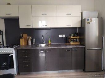 As the property owner, I offer for rent a panel apartment