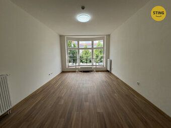 We are looking for long-term rental apartment (3+1,3KK). We
