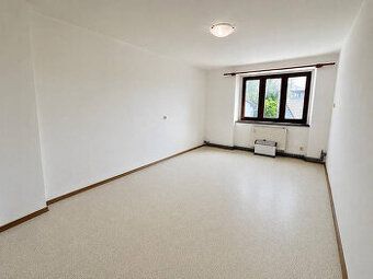 I am renting out 1 + kk. Internet included in price. Ample