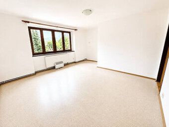 I am renting out 1 + kk. Internet included in price. Ample