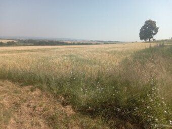 Good day, we are looking for land ideally listed in the
