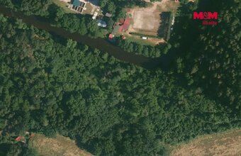 We offer for purchase a forest land with total area of 6543