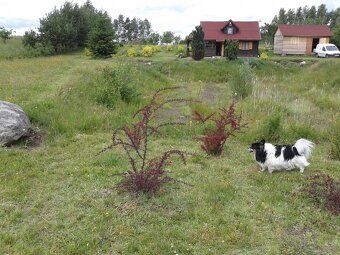 Położona przy drodze wojewódzkiej nr:226. Ogrodzona siatką z