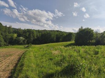 Szczegółowy opis: 🏡✨ Na sprzedaż: duża atrakcyjna działka w 