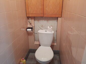 Do wynajęcia mieszkanie na parterze o powierzchni 48 m2; Sie