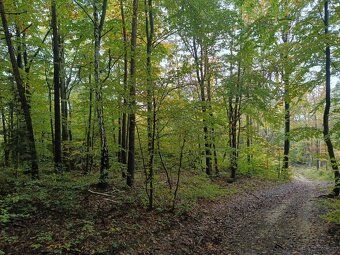 Lipnica Dolna – 7 hektarów, 33 ary: dwie działki rolne w tra