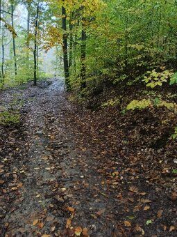 Lipnica Dolna – 7 hektarów, 33 ary: dwie działki rolne w tra